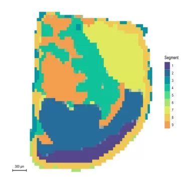 Space segmentation graph